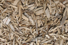 biomass boilers Wilminstone
